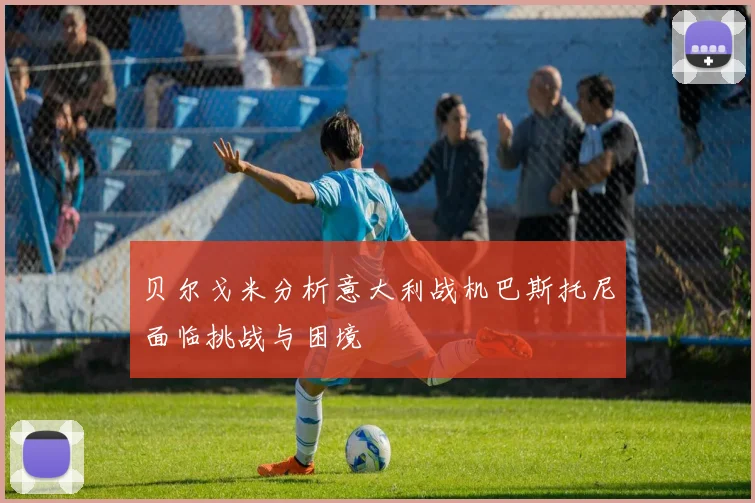 贝尔戈米分析意大利战机巴斯托尼面临挑战与困境